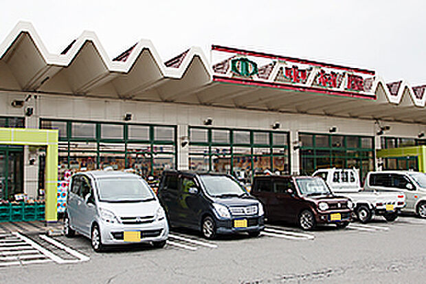 スーパー中村屋木津店(約700m)