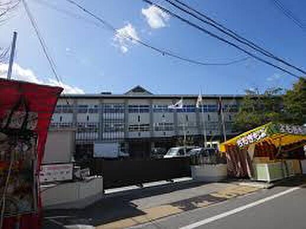 亀岡市立城西小学校（約650m）