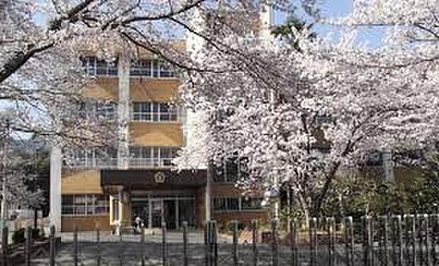 湖南市立三雲小学校（約3,400m）