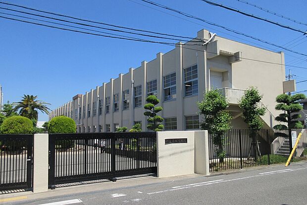 忠岡町立忠岡中学校（約550m）