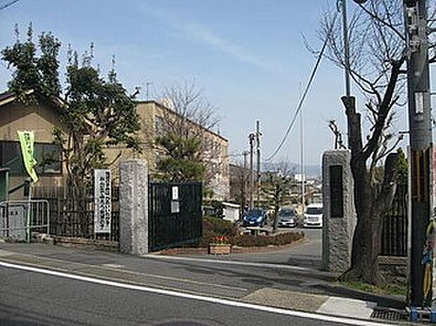京都市立松陽小学校（約250m）