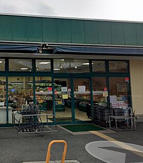 スーパーマルヒ山本店 1100ｍ(徒歩14分)