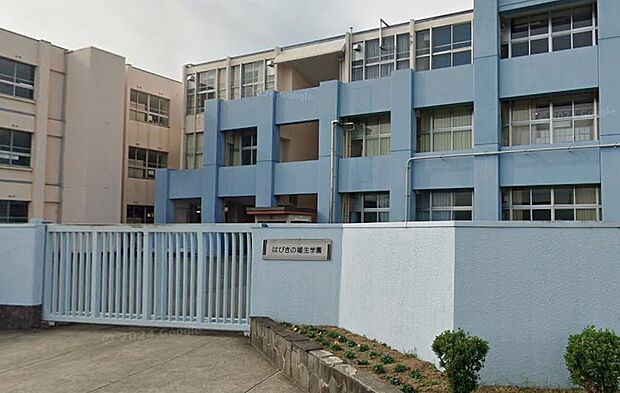 羽曳野市立はびきの埴生学園（約800m）