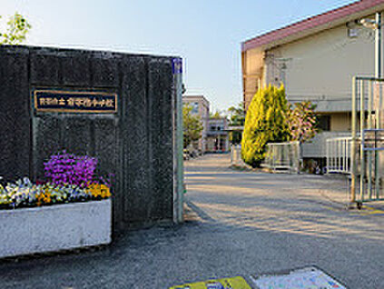 京都市立修学院小学校 780ｍ(徒歩10分)