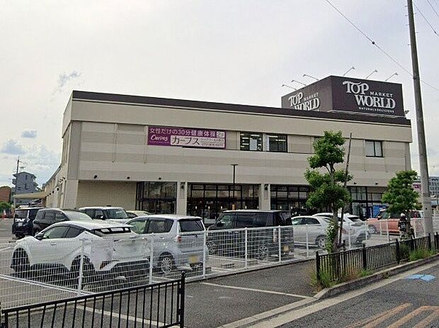 トップワールド枚方店(約1,000m)