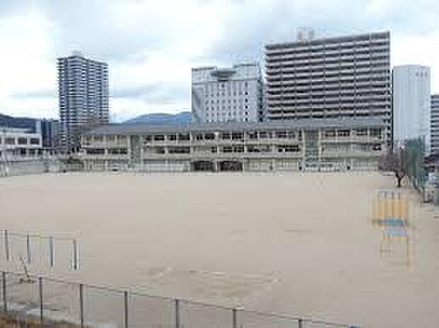 大津市立逢坂小学校(約1,000m)