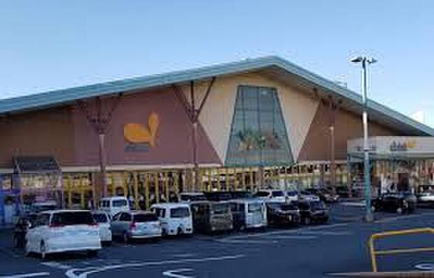 ダイエー貝塚店（約420m）