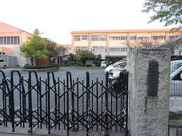 栗東市立大宝小学校（約240m）