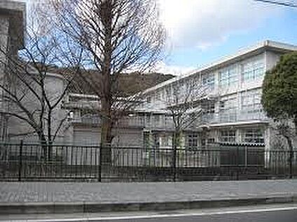 八幡市立八幡小学校 1200ｍ(徒歩15分)