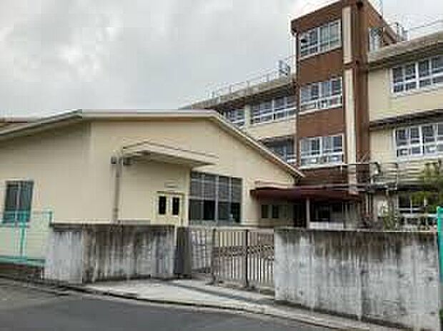 堺市立南八下小学校（約430m）