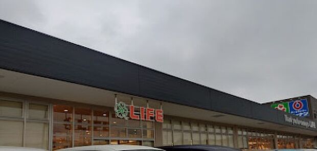 ライフ枚方大橋店（約140m）