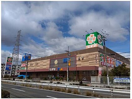 ライフ石津店 595ｍ(徒歩8分)