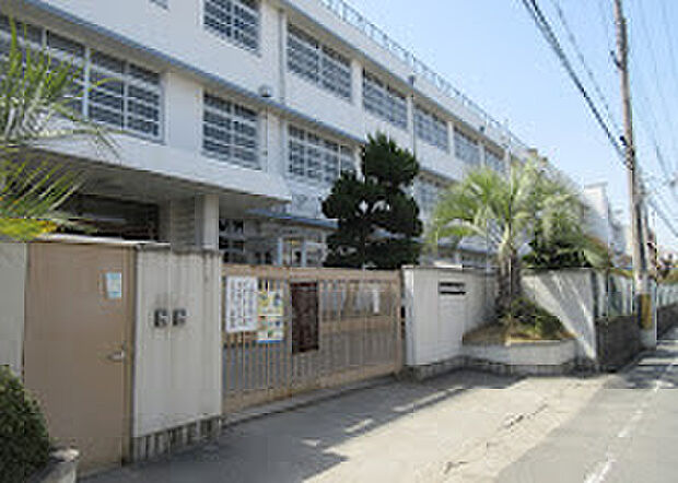 東大阪市立長瀬南小学校(約490m)
