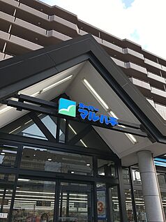 スーパーマルハチ野中北店 790ｍ(徒歩10分)