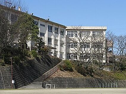 千早赤阪村立中学校 3800ｍ(徒歩58分)