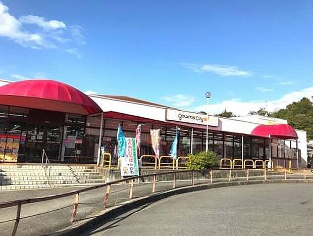 グルメシティ加茂店(約350m)