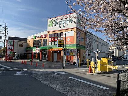 食品館アプロ国分店 230ｍ(徒歩3分)
