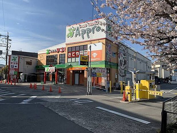 食品館アプロ国分店(約230m)