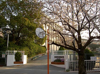 枚方市立第四中学校 700ｍ(徒歩9分)
