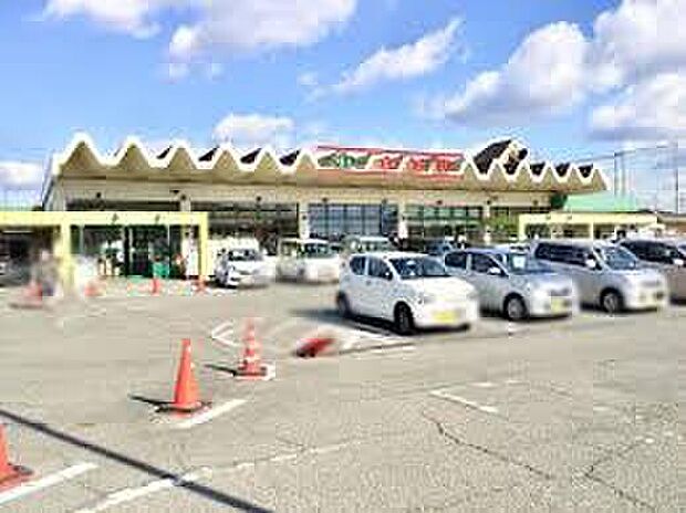 スーパー中村屋木津店（約640m）