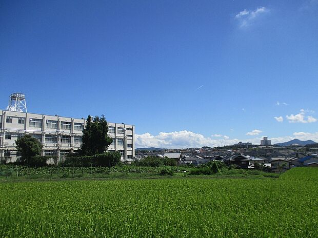 羽曳野市立丹比小学校(約1,600m)