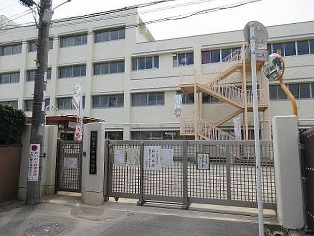 松原市立中央小学校(約520m)