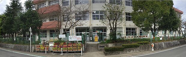 亀岡市立詳徳小学校(約310m)