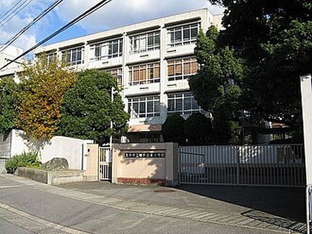 豊中市立桜井谷東小学校(約500m)