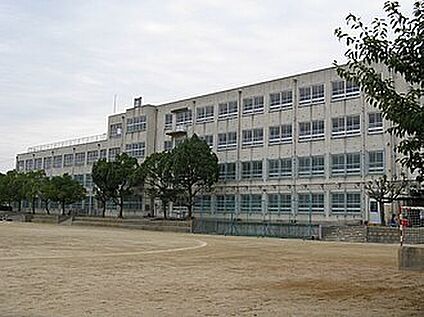 堺市立登美丘中学校 1500ｍ(徒歩19分)