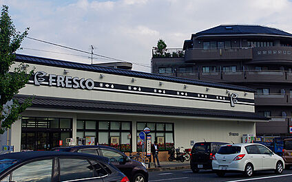 フレスコ上桂店 580ｍ(徒歩8分)