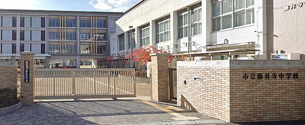 藤井寺市立藤井寺中学校(約1,000m)