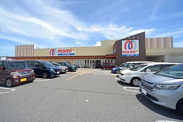 マミープラス柏根戸店(約650m)