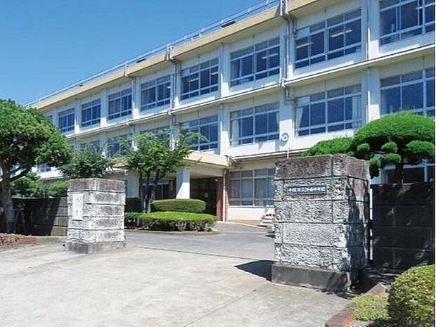 平塚市立浜岳中学校（約350m）