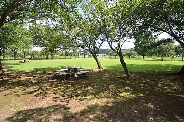 北柏ふるさと公園（約1,600m）