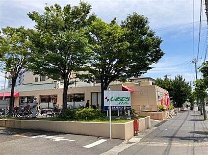 しまむらストアー 240ｍ～400ｍ(徒歩3分～5分)