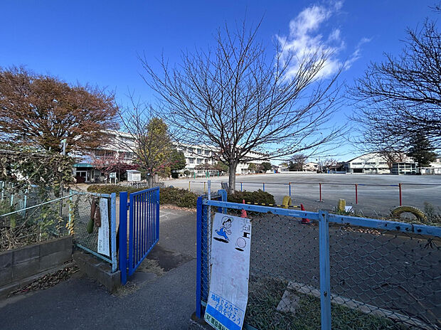 富岡小学校(約2,140m)
