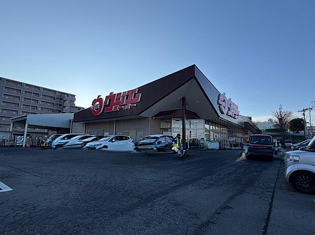 ウジエスーパー中山店（約824m）