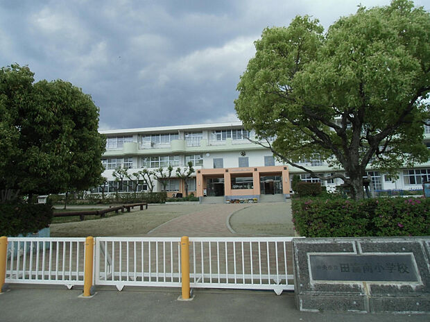 田富南小学校（約482m）