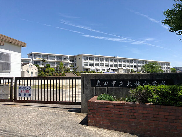 大林小学校　