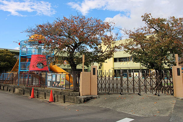 たんぽぽ幼稚園（約800m）