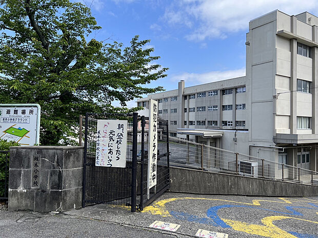 坂本小学校(約800m)