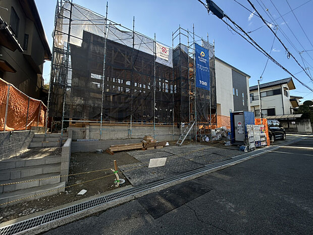 2025年11月下旬撮影　