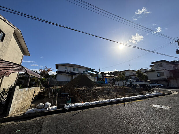 2025年11月上旬撮影　