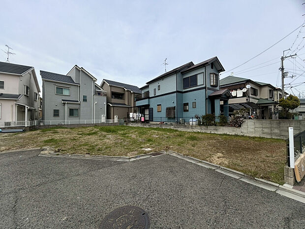 2026年3月上旬現地撮影　