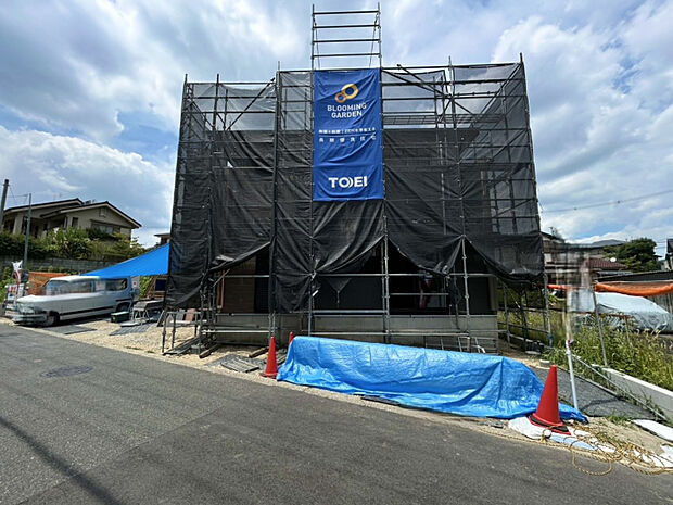 2026年7月下旬現地撮影