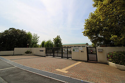 市立晴美台中学校 100m