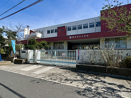 藤井寺北小学校 1200m