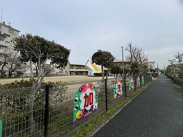 加茂幼稚園（約800m）