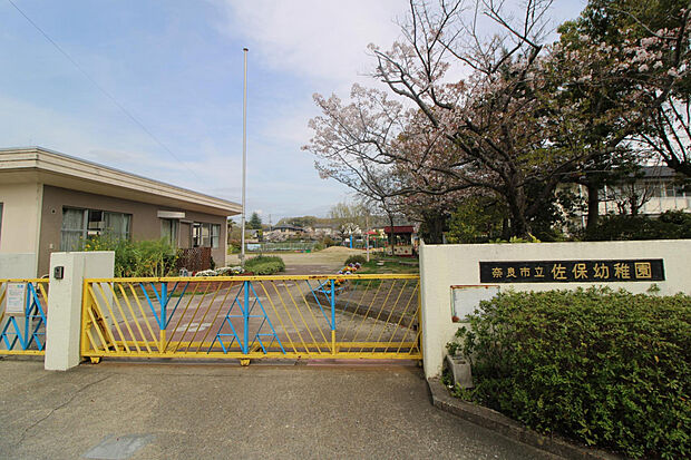 市立佐保幼稚園（約161m）