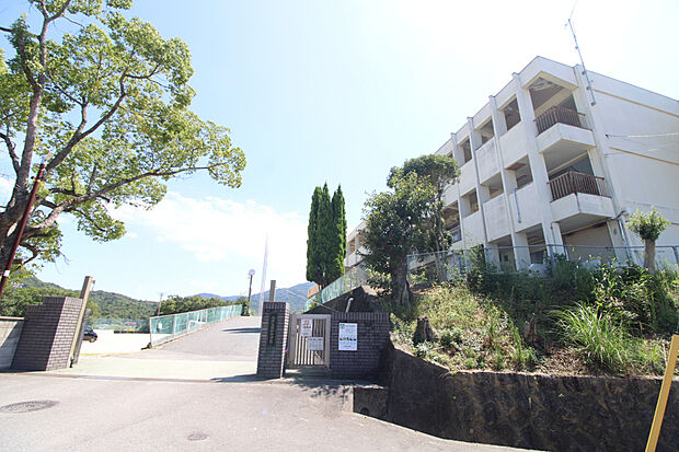 昭和中学校（約800m）